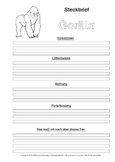 Gorilla-Steckbriefvorlage-sw-2.pdf